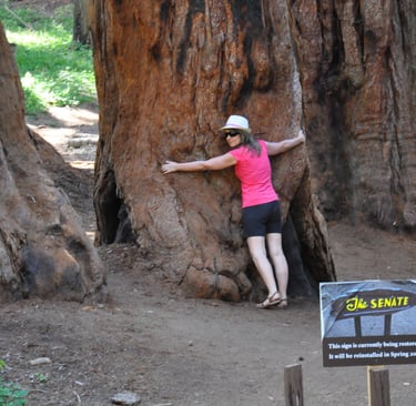 a woman standing in front of a giant tree