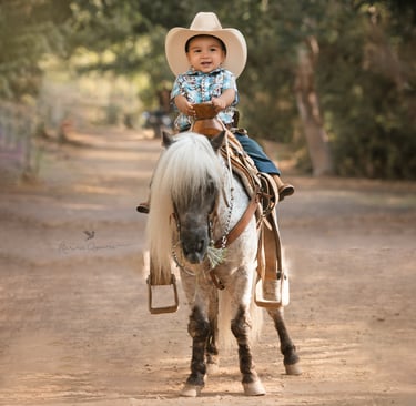 un niño pequeño con sombrero montando a caballo