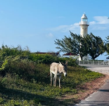 Grand Turk Lighthouse