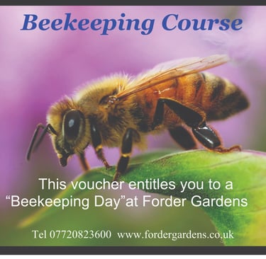 Beekeeping , Gift Vouchers