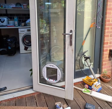 cat flap installed in door