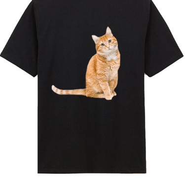 deuxième exemple de tshirt floqué