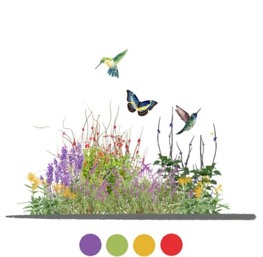 jardin de polinizadores