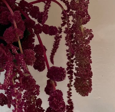 fleurs de saison 