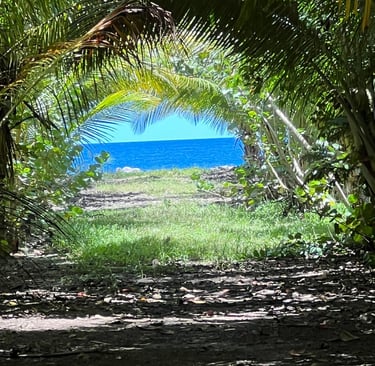 paradis voyage france guadeloupe