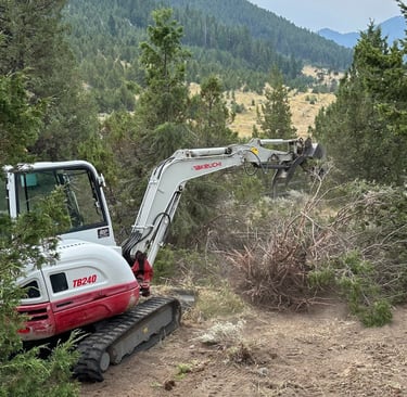 land clearing
