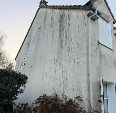 nettoyage façades 77
