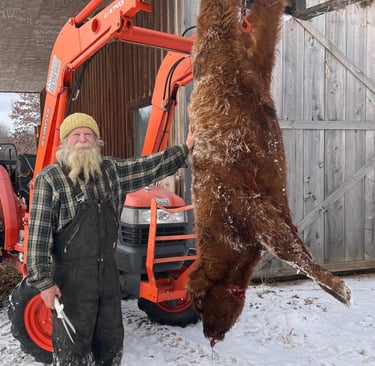 Farmer Brian stands next to a butchered bull