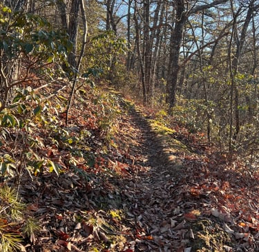 steep uphill track at spec mine trail