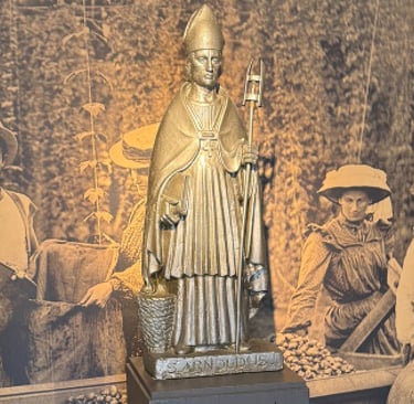 San Arnulfo museo de la Cerveza