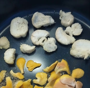 lions mane cooking in a pan on stove