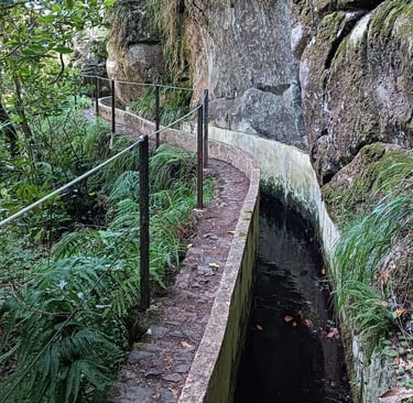 Llevada nella montagna di Madeira