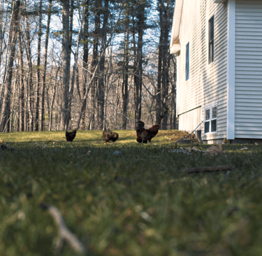 Spring Cleaning Short Film Lucas Arruda