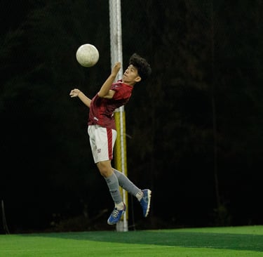 labview vs sulawesi fc