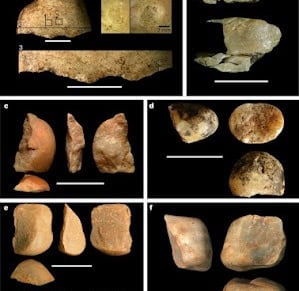 Alcuni reperti "paleolitici (Proffitt T. et al., 2016 FOTO) - appesianphylum.com