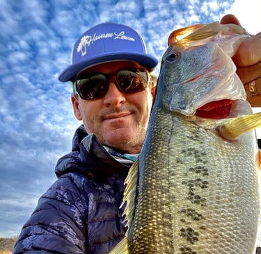 lake havasu city fishing report