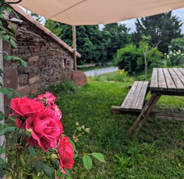 Bouquet de roses et en arrière plan table de pique nique en bois à l'ombre d'une toile