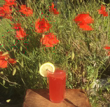 Mohnblumen mit einem Erfrischungsgetränk aus den Blüten