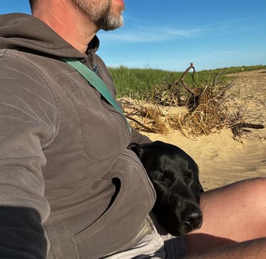 a man sitting on a beach with a dog