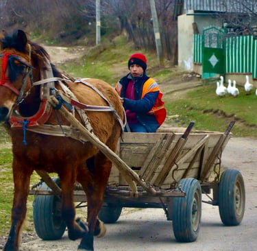 Moldawien Kutsche Kind