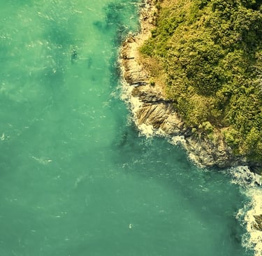 Coastal water appearing green due to algae and dissolved organic matter in sunlight
