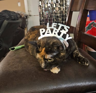 A tortishell cat lays on a barstool with a headband that says 'Let's Party' in silver letters.