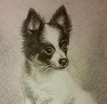 Untitled, pencil on 5x7 paper, Laura Roy artist, 2016