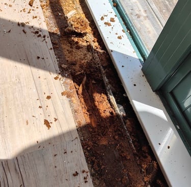 Window renovation Rotten sills CHR builders before