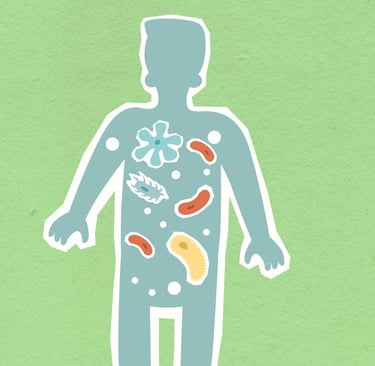 The Microbiome Revolution: How Your Gut Became the Body’s Second Brain