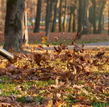 Los Chicos Exterior Solutions crew member using a leaf blower to clear fall leaves from a residentia