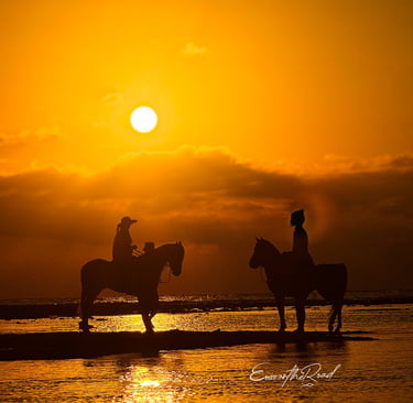 Unforgettable Gili Islands sunset views with an iconic beach horse, ideal for post-dive relaxation.