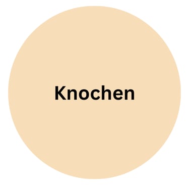 Lamm Knochen