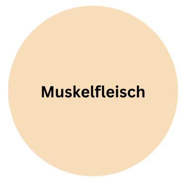 Lamm Muskelfleisch