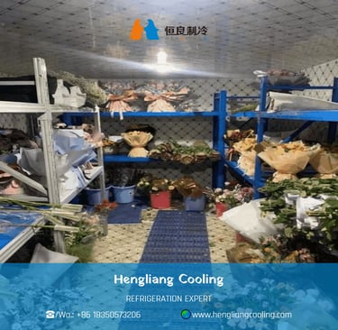 lower storage cold room for fresh cut flower preservation