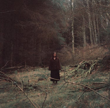 In My House Theo Bleak