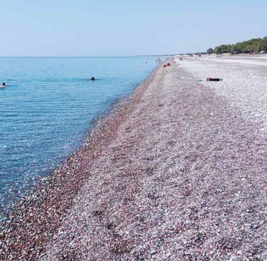 a beach with people swimming in the water