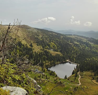gazon du faing dans les vosges