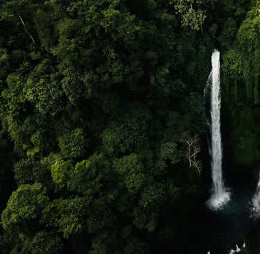 Sekumpul Waterfall