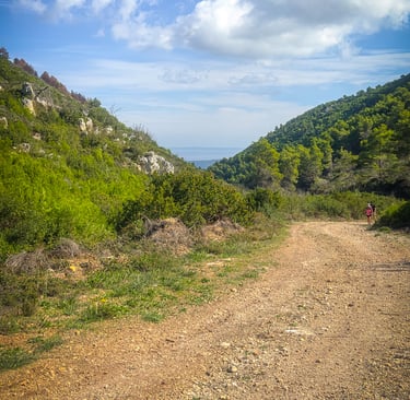 Hiking Zante - Heading back down towards Agios Pantes