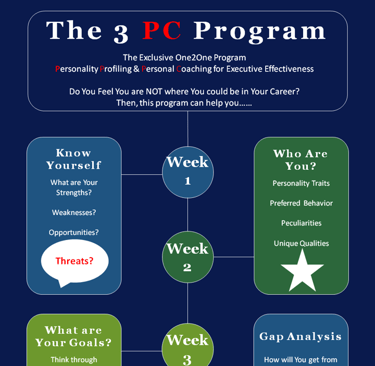 Executive Coaching - Personality Development