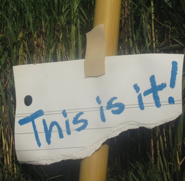 this-is-it-text