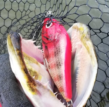 SALMO SLIDER im Maul eines Hechts, der in Schweden mit „Fishing Escape Sweden“ gefangen wurde.