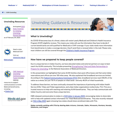 image of a government website