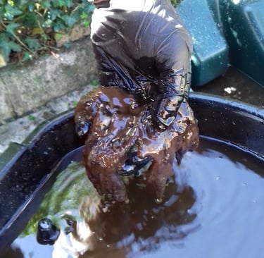 contaminated heating oil fuel Huntshaw near Torrington