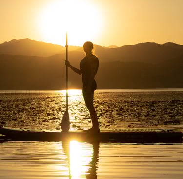 a person standing on sup board at sunset