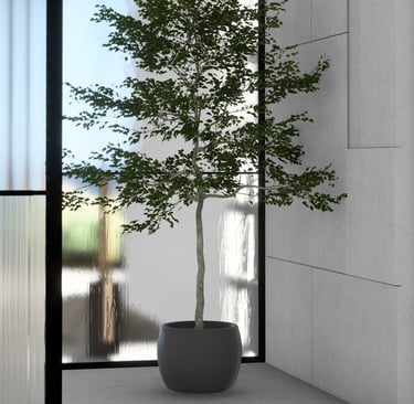 Sculptural indoor tree in a matte black planter placed beside full-height glass in a modern space