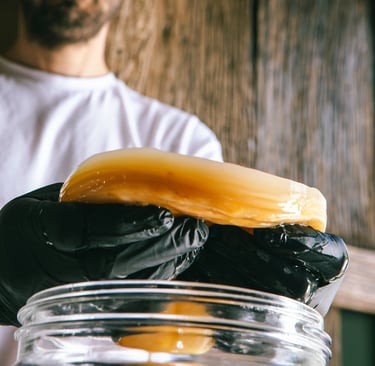 kombucha artigianale siciliana