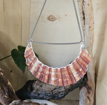 Collier en coquille St Jacques