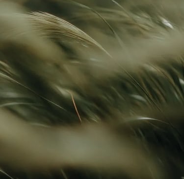 nature. Wise Women Wellness Programmes