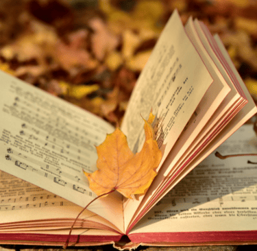 A fall leaf lays on an open book